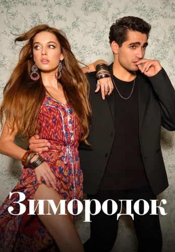 Зимородок 1-101 серия турецкий сериал русская озвучка смотреть онлайн все серии